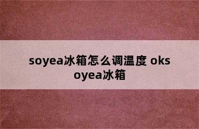 soyea冰箱怎么调温度 oksoyea冰箱